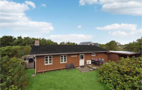 3 Bedroom Amazing Home In Hvide Sande